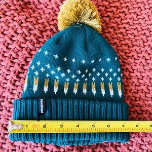 Patagonia Beanie